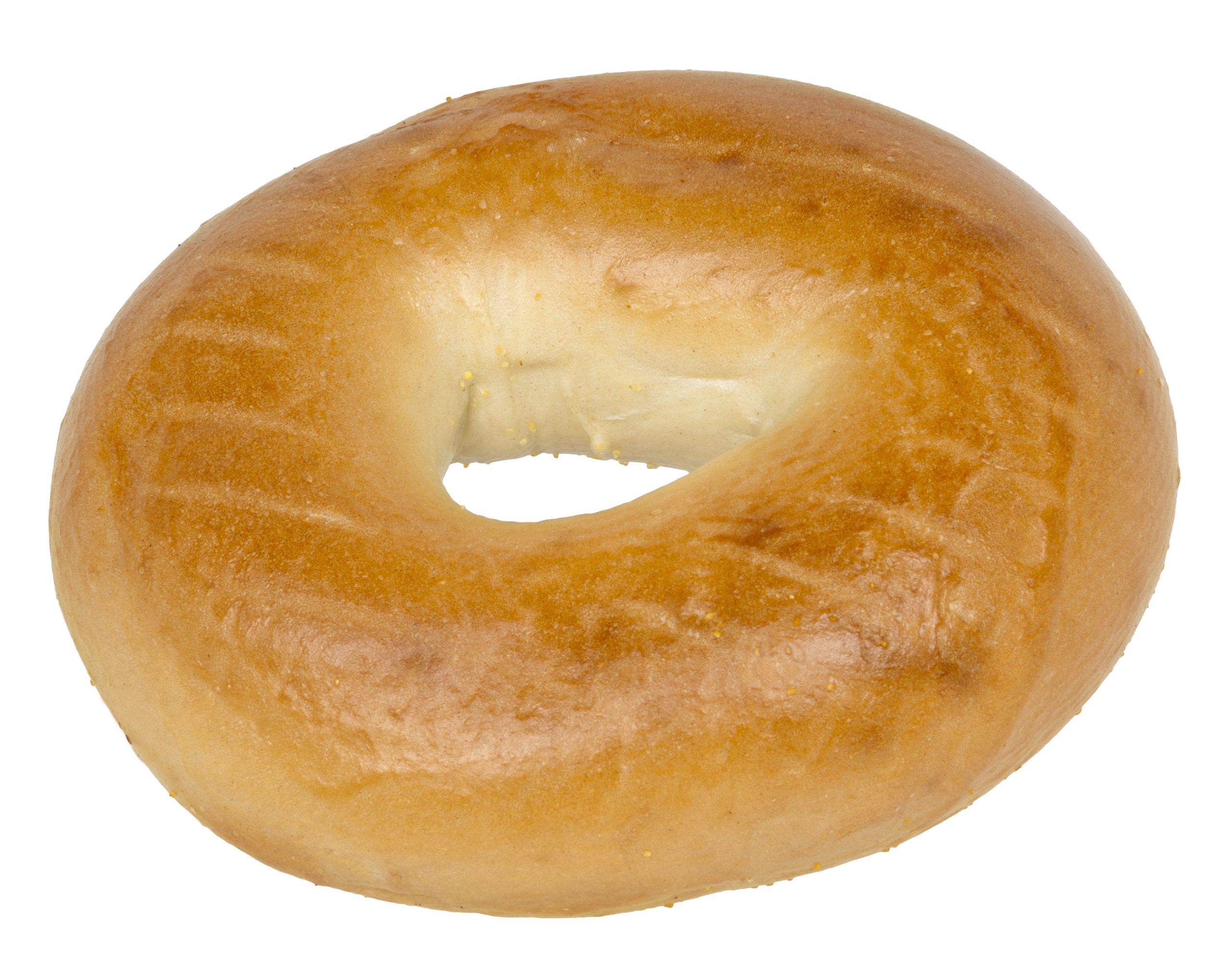 A plain bagel, bought from a local bagel store in Brooklyn, New York.